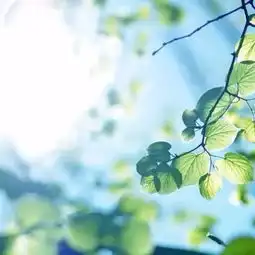 心存阳光,一路前行
