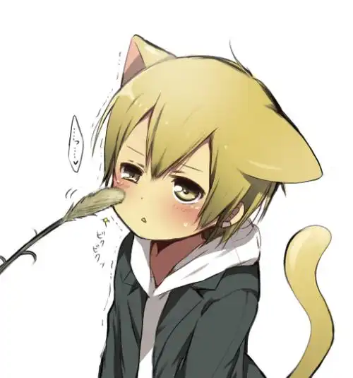Q版动漫人物猫系男头像