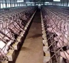 黄页88高清图片
