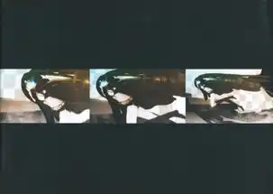 月色中那黑色比基尼的清冷少女,黑岩射手原画集
