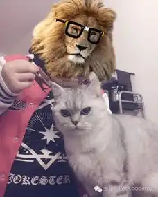 猫狗绝育前必看因为这里有一猫一狗替你亲测了
