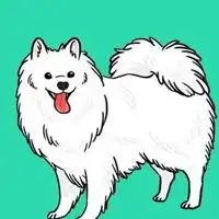 银狐犬卡通头像图片
