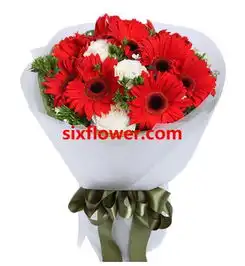 为同事送什么鲜花同事生日送鲜花六朵花
