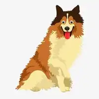 银狐犬卡通头像图片
