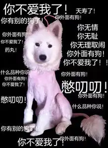 测测你是猫系颜or犬系颜
