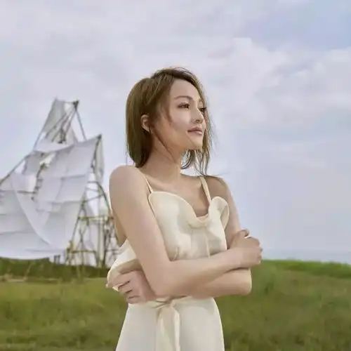 她占c位被嘲,因亲妈诬陷而沦为过气歌手,却拼尽全力活成了坚强的代名词
