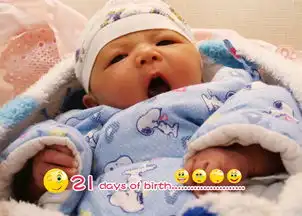 我的宝贝女儿专辑飞天红太狼
