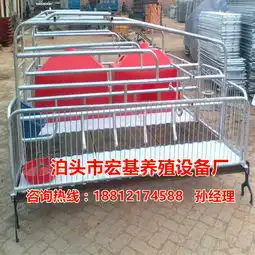 现代化猪舍母猪产床专业生产厂家母猪产床规格有哪些泊头宏基
