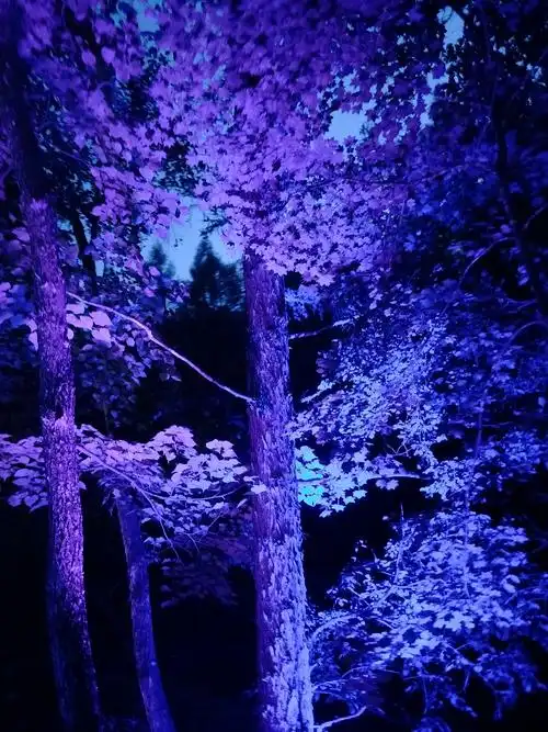 应援色有感,蓝紫色太好看太梦幻了吧就是星空的...
