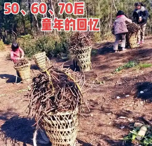 50后60后70后,明年起,或要直面现实了早做准备
