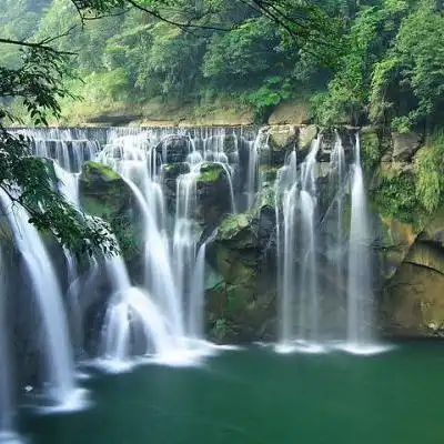 70属狗的山水招财好运头像背影