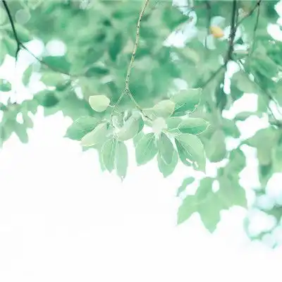 微信小清新唯美头像高清图片治愈系一个人的小时光
