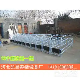猪定位栏猪舍专用定位栏价格,半限位栏尺寸及图片