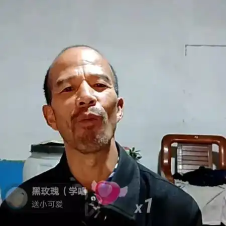 昙花一现从面筋哥到本亮大叔,成名之后巅峰不再人气一落千丈

