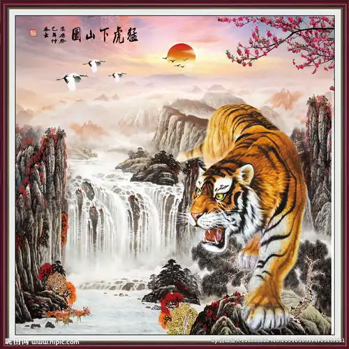 老虎图片
