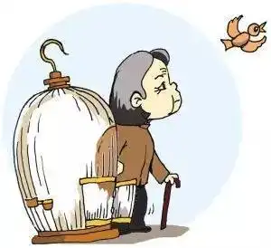 子女不常看望老年人将违法,老人的财产子女无权干涉,关于老人你还需要知道
