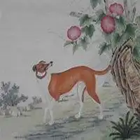 属狗最旺财的微信头像微信头像图片大全
