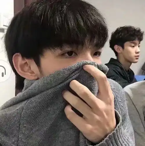 韩系高质量男头魏甜