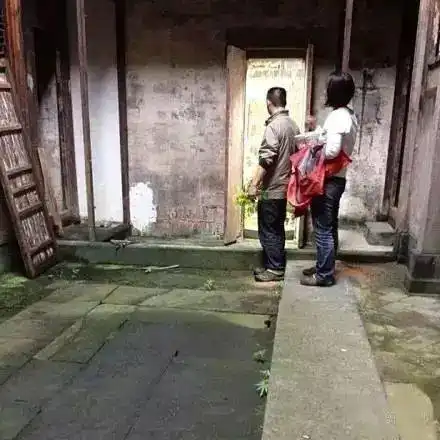 老宅重生70后程序员夫妻的乡下生活
