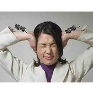 脑鸣气郁化火失眠健忘易怒口苦干
