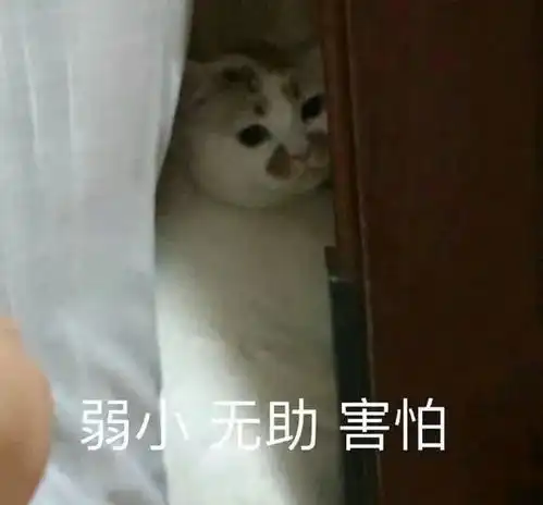 据说青簪行撕番撕出圈了
