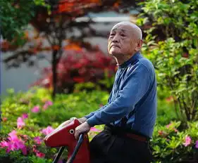怎么抚慰空巢老人的脆弱心理
