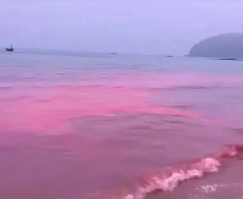 是谁打翻了涠洲岛的调色盘看少女心蓝眼泪