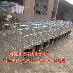 猪舍常用的母猪限位栏厂家批发猪用定位栏尺寸齐全泊头宏基图片,猪舍常用的母猪限位栏厂家批发猪用定位栏尺寸齐全泊头宏基高清图片泊头市宏基养殖设备厂,中国制造网
