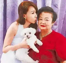 胡歌深夜发文,背后原因竟如此让人泪流满面
