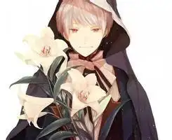 求黑塔利亚普爷图包