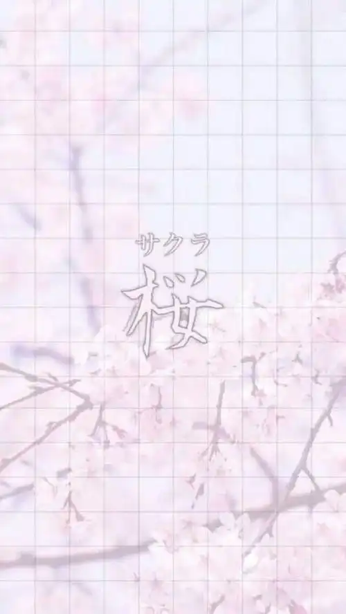 粉色系少女心

