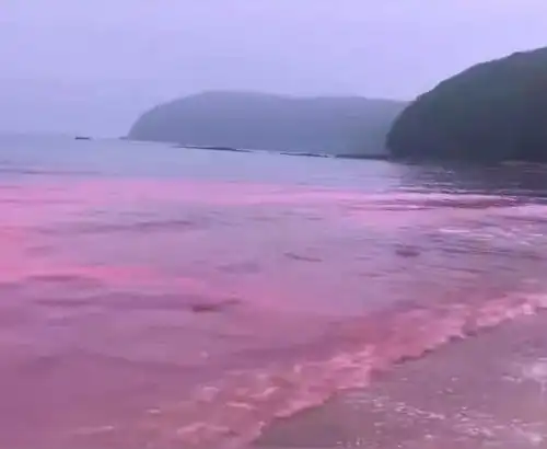 是谁打翻了涠洲岛的调色盘看少女心蓝眼泪
