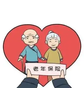 老年保险
