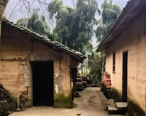 中国70后,到底经历了什么,为何会被称为最苦的一代人
