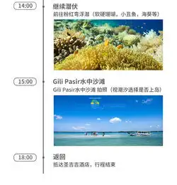 龙目岛粉红色沙滩一日游点燃粉色少女心每个女孩的梦想浮潜特色午餐专车船接送中文潜水导游