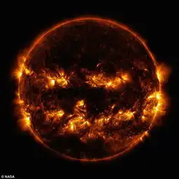 所有恒星都有孪生同胞太阳伴星或存在
