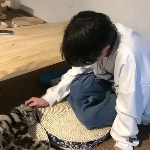 高冷男生头像他们种小麦,我种玫瑰
