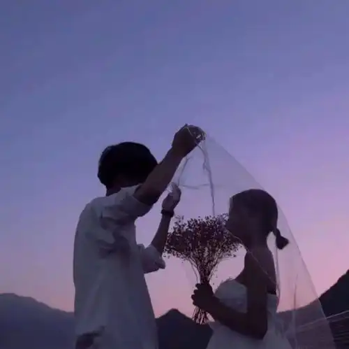情侣头像婚纱系的单人婚纱