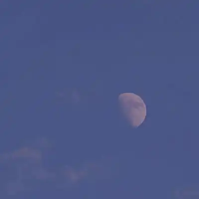 中老年微信头像50岁60岁风景花朵图片大全
