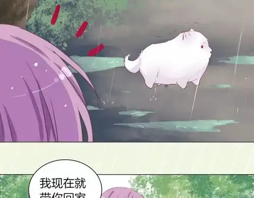 测测你是猫系颜or犬系颜
