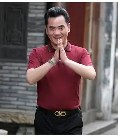 冰丝t恤男老年人4050岁休闲爸爸夏装男士短袖t恤男翻领薄款牌服
