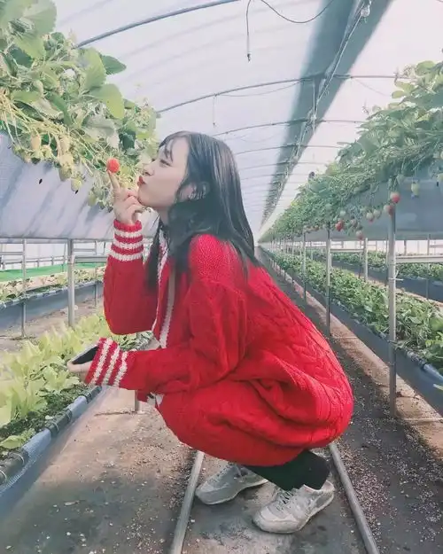 对比十年前发型你觉得哪种好看
