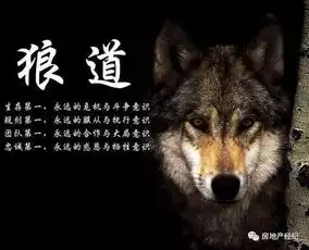 什么是狼的精神
