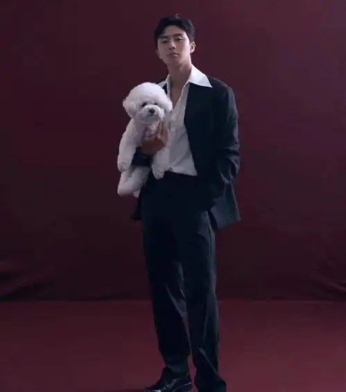 头像精选
