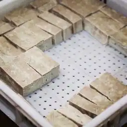 70后大叔头像图片猪舍