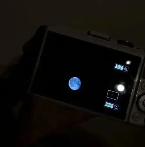 心情低落的丧系文案
