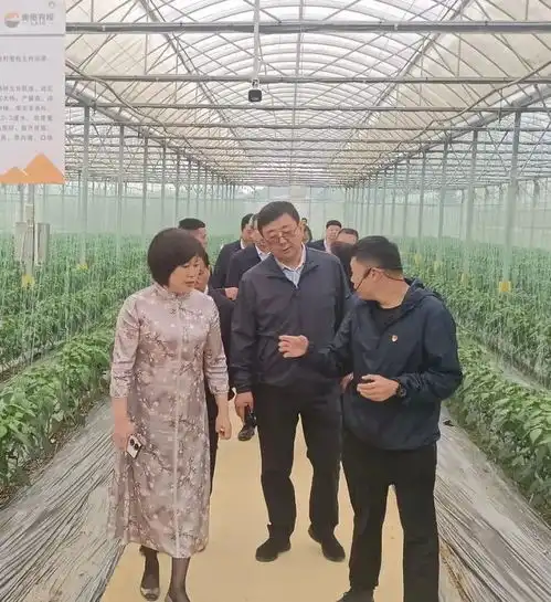 政协哈尔滨市委员会
