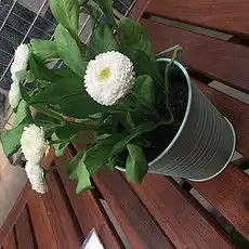 mp4向日葵白色mp4格式向日葵白色素材图片mp4向日葵白色设计模板我图网
