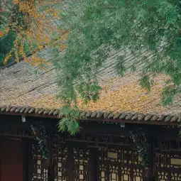 老人头像图片大全老年人专用微信头像
