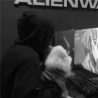 男生头像白色系可爱元素